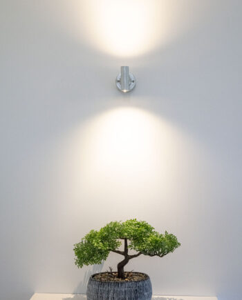 Conduit Tee Wall Light
