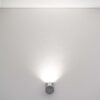 Conduit U Box LED Statement Light